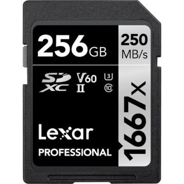 Lexar Professional 256GB 1667x SD Card